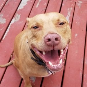 Meet your Posher, Steve